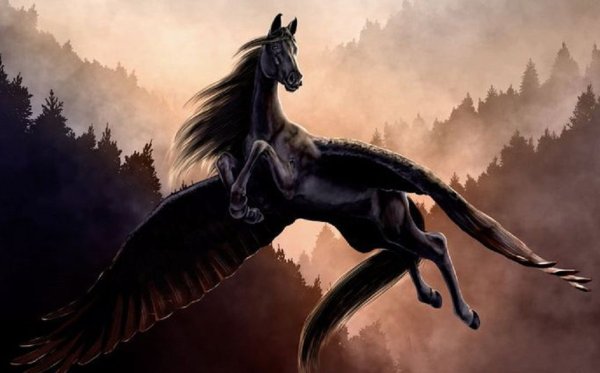 Черная лошадь с крыльями