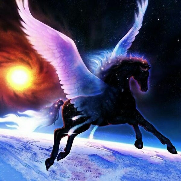 Аликорн Bella Sara