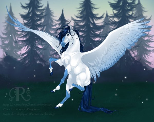 Лошади аниме с крыльями