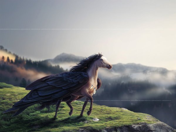 Пегас келпи