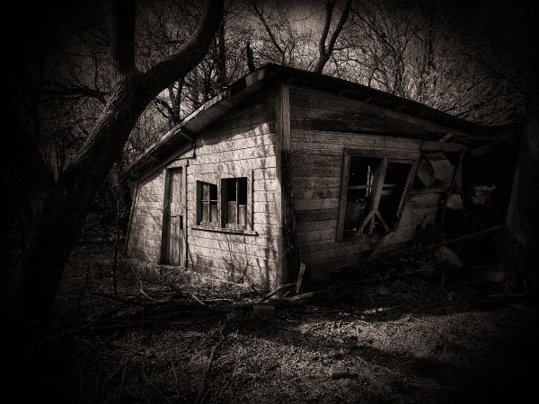Страшный дом в лесу