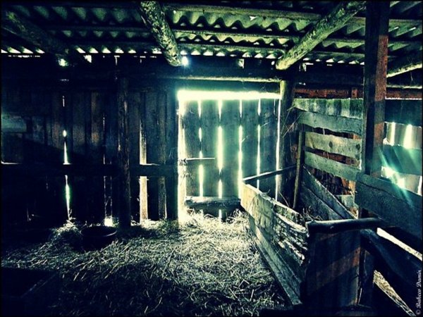 Старый сарай изнутри