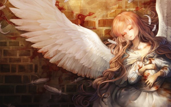 Аниме ангел Энджел Уайт