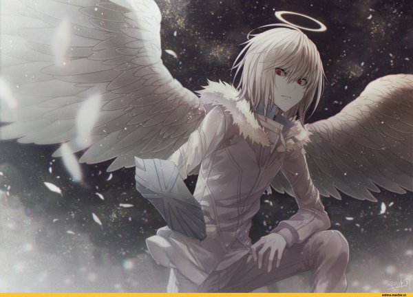 Акселератор Рейлган ангел