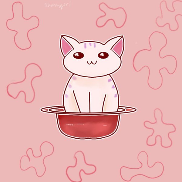 Шлёпа в тазике арт кот