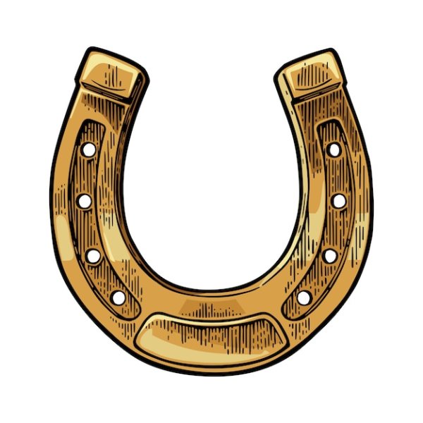 Подкова ковбойская