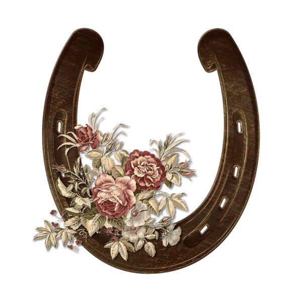 Красивая подкова