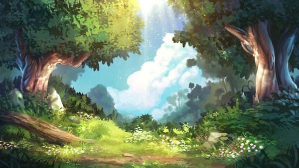 Волшебный лес