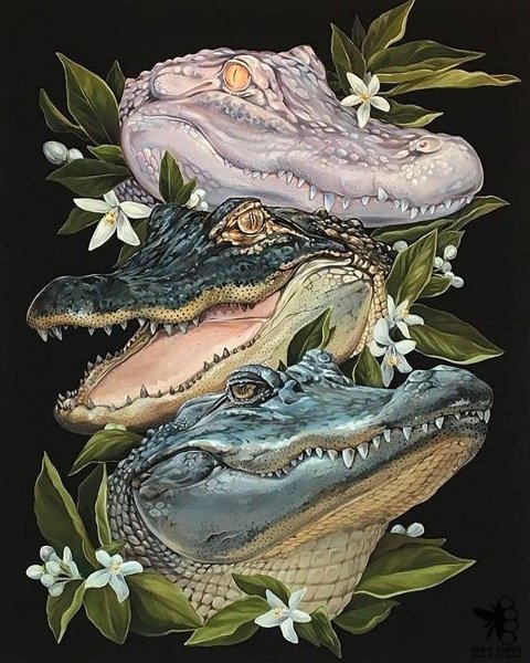 Красивый крокодил