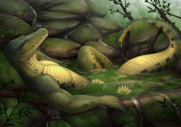 Фурри крокодил