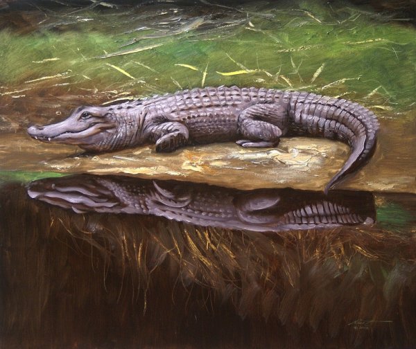 Картины крокодилов
