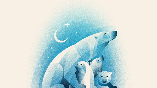 Стилизованный Медвежонок