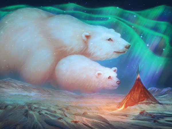 Северное сияние Медведица Умка