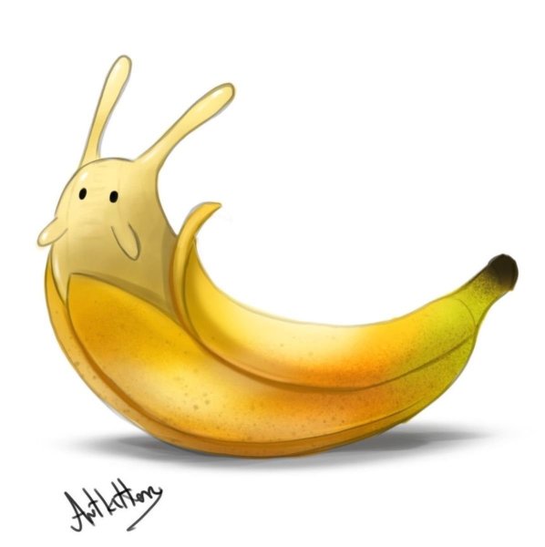 Банановые слизняки