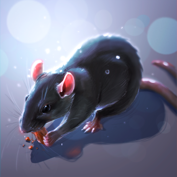 Грызуны арт