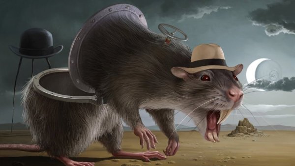 Крыса картина