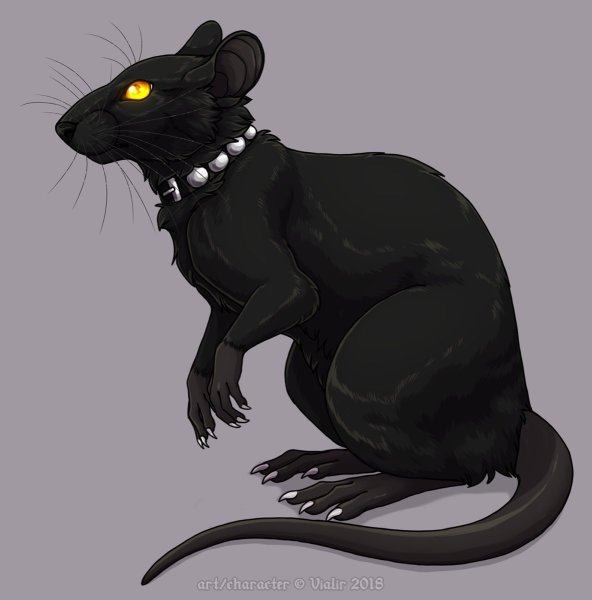 Фамильяр пантера