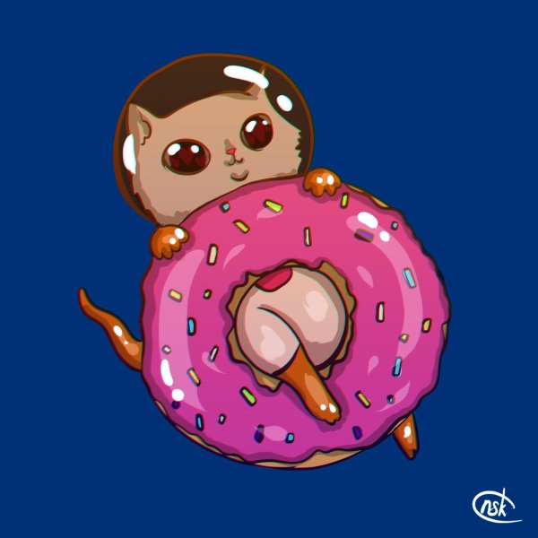 Космические пончики