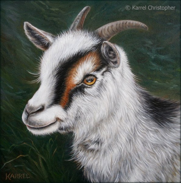 Белая коза арт