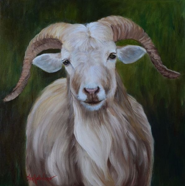 Портрет козы