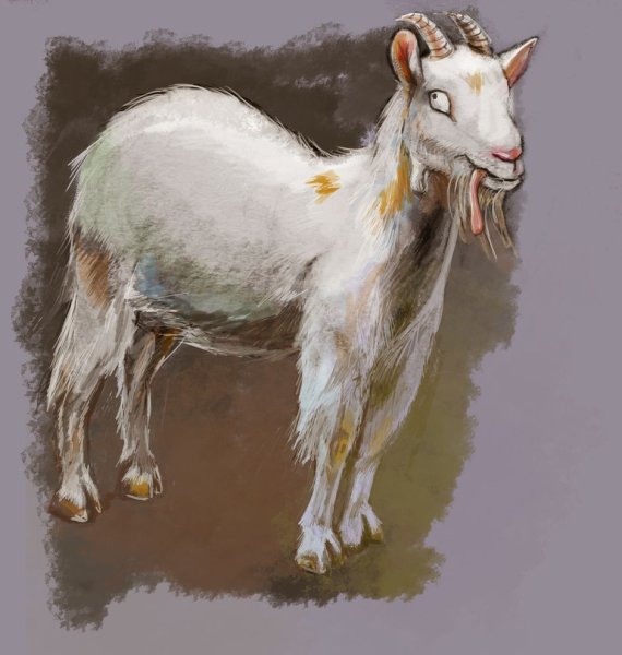 Милый козел арт