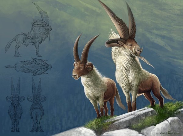 Козел фэнтези