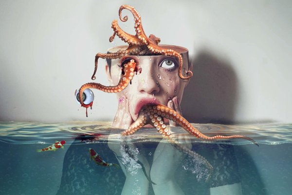 Смешной осьминог