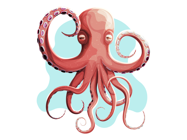 Flat осьминог