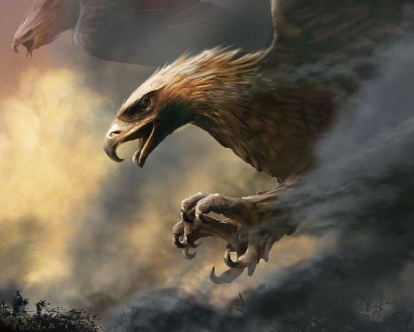 Мехрон Гафоров