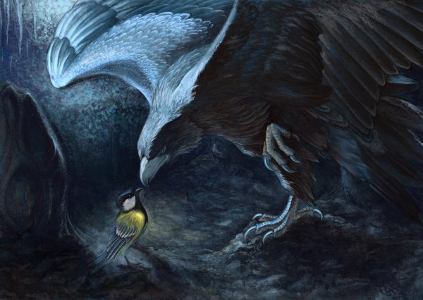 Орел и синичка