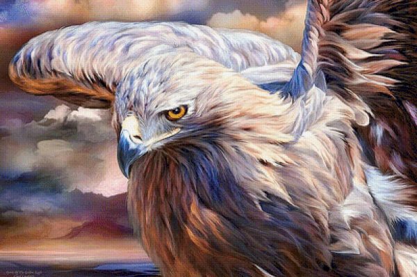 Кэрол Каваларис Сокол