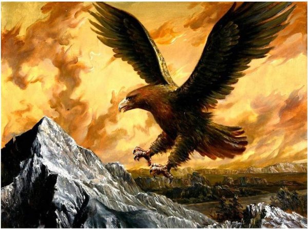 Пейзажи с орлами
