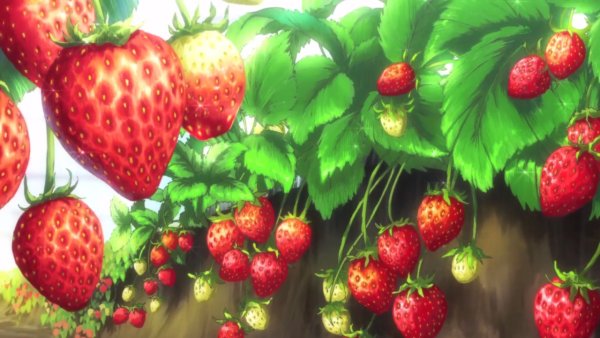 Аниме земляника