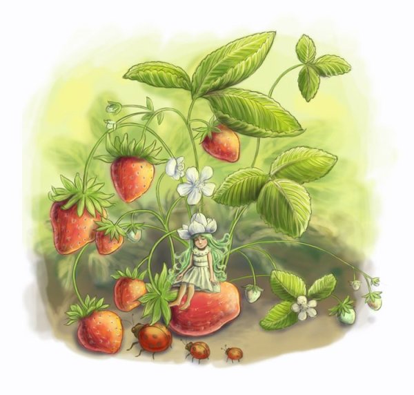 Земляника Сказочная