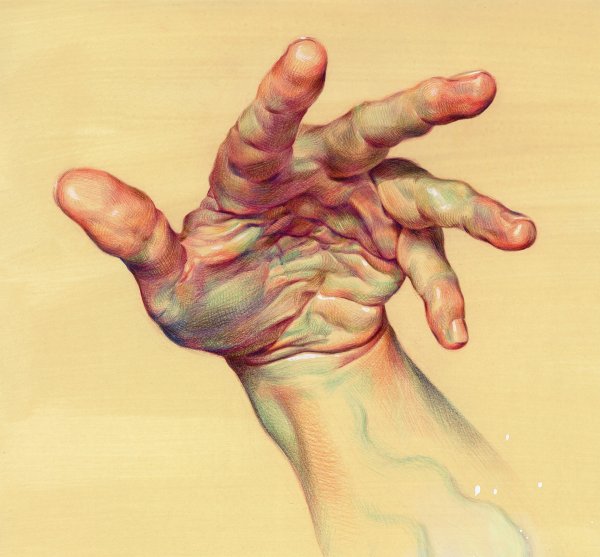 Анатомические рисунки WANJIM gim