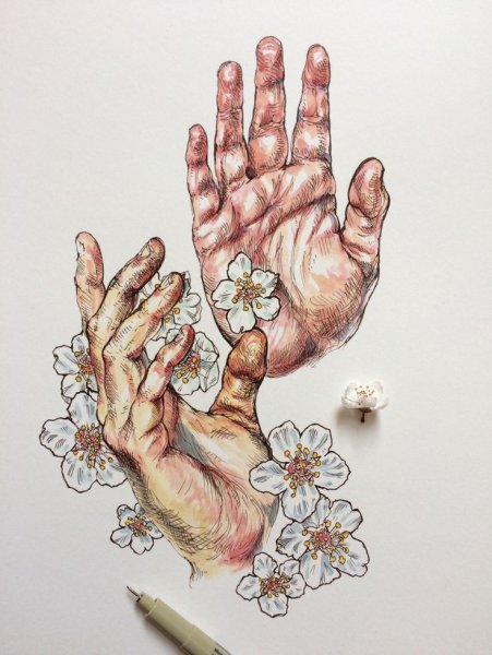 Рука рисунок