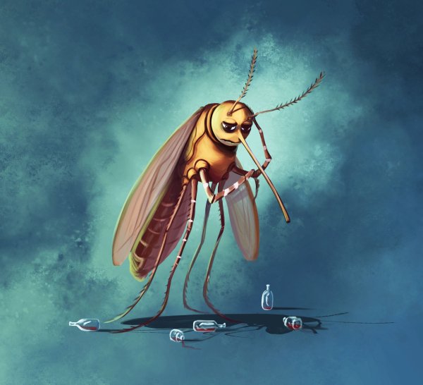 Смешной комар