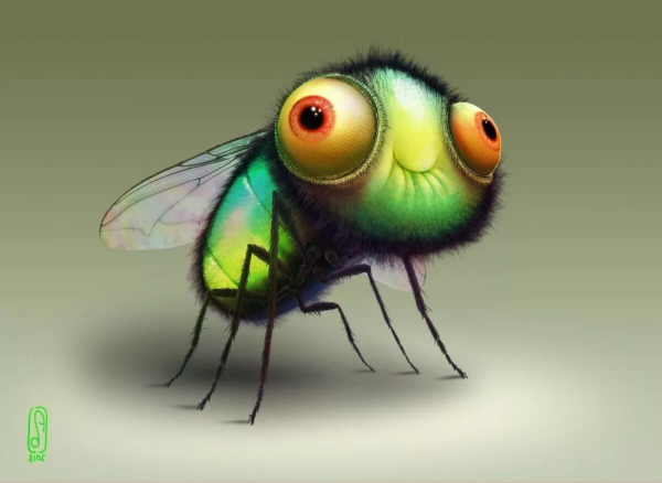 Забавные насекомые