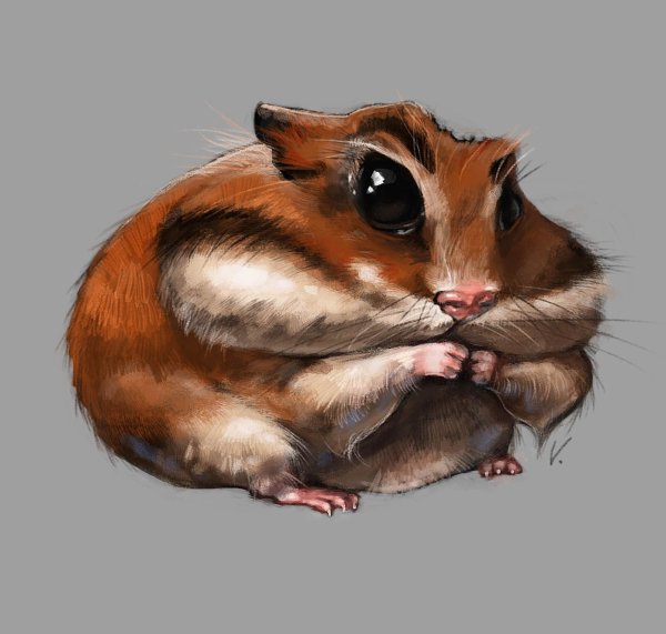 Арт хомяков