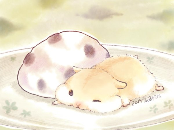 Аниме хомяк