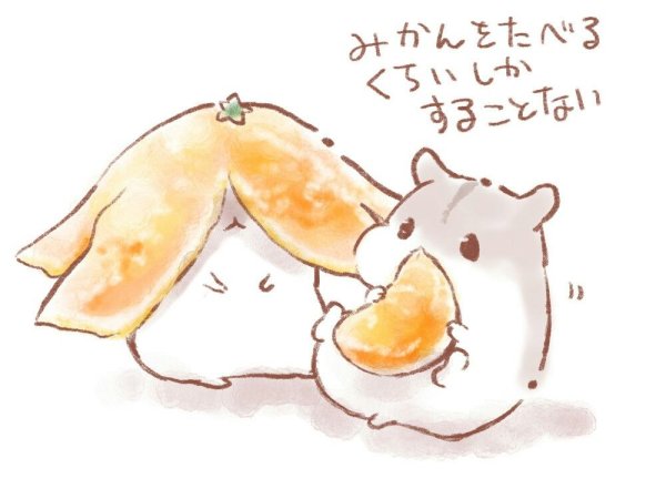 Новогодние арты с хомячками