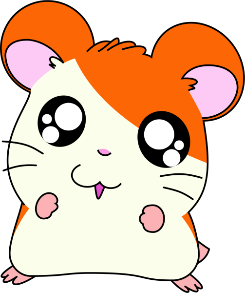 Hamtaro аниме