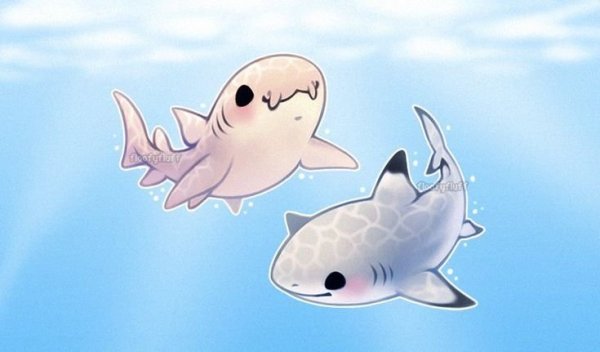 Милая акула