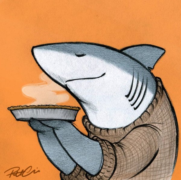 Милые акулы