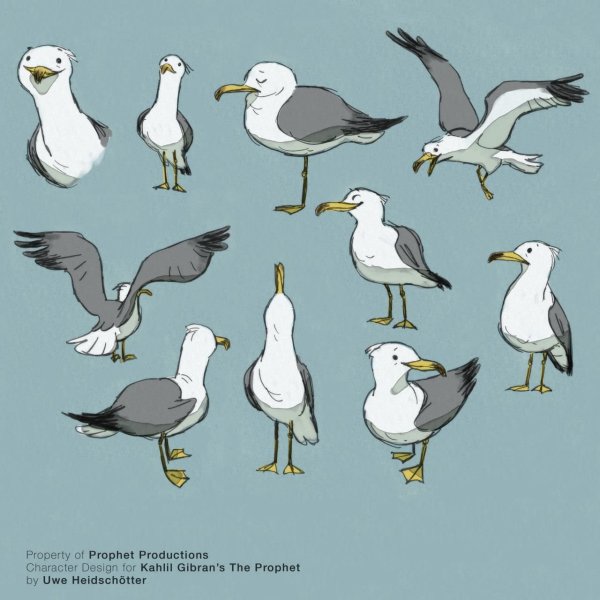 Чайка рисунок референс