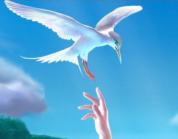 Чайки фэнтези