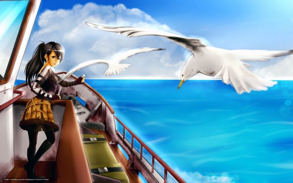 Чайка море девушка