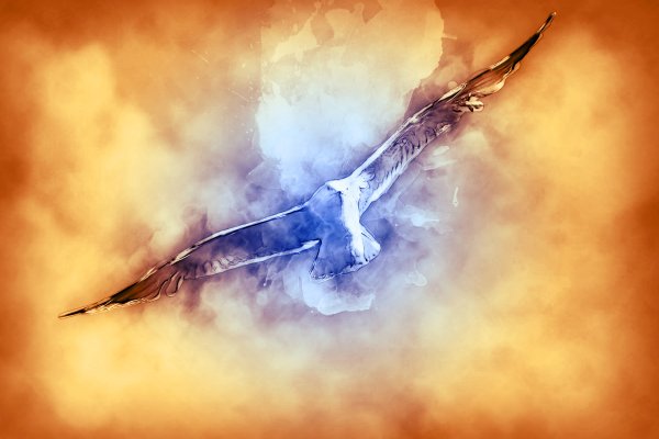 Птица Артполет