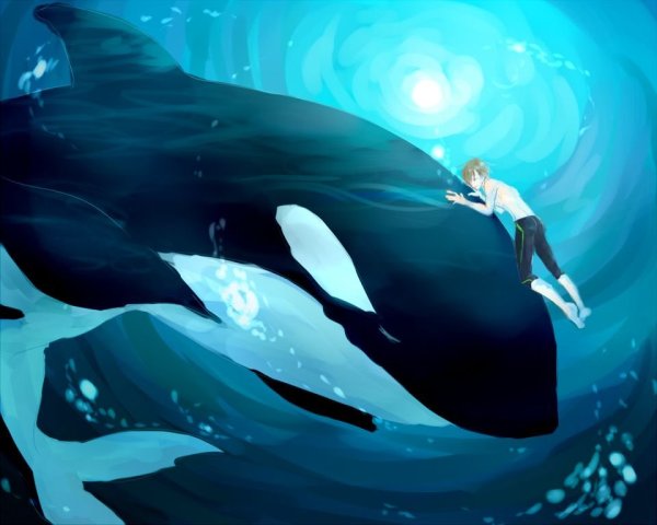 Касатка и девушка