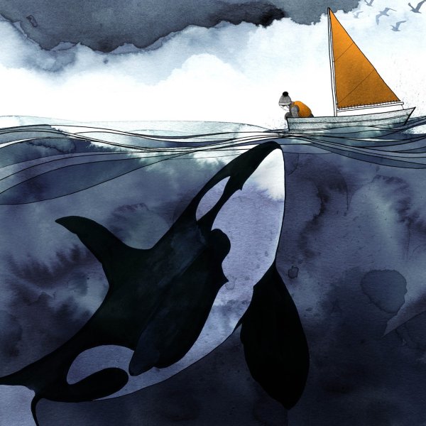 Касатка акварель